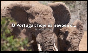 "Ó Portugal, hoje és nevoeiro..." — Fernando Pessoa