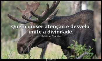 "Quem quiser atenção e desvelo, imite a divindade." — Baltasar Gracián