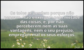 "Os tolos se perdem porque não pensam. Não enxergam nem metade das coisas, e, po — Baltasar Gracián