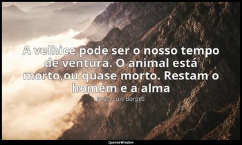 "A velhice pode ser o nosso tempo de ventura. O animal está morto,ou quase morto — Jorge Luis Borges