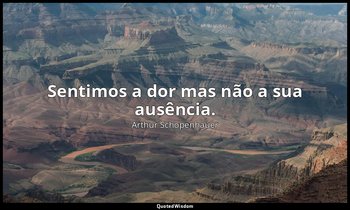 "Sentimos a dor mas não a sua ausência." — Arthur Schopenhauer