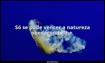 "Só se pode vencer a natureza obedecendo-lhe." — Francis Bacon