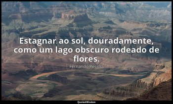 Estagnar ao sol, douradamente, como um lago obscuro rodeado de flores. — Fernando Pessoa