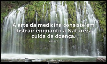 "A arte da medicina consiste em distrair enquanto a Natureza cuida da doença." — Voltaire