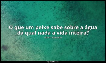 "O que um peixe sabe sobre a água da qual nada a vida inteira?" — Albert Einstein