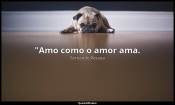 "Amo como o amor ama. — Fernando Pessoa