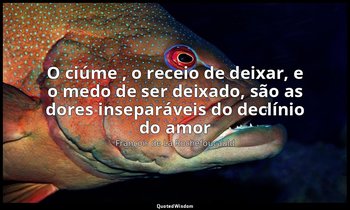 "O ciúme , o receio de deixar, e o medo de ser deixado, são as dores inseparávei — François de La Rochefoucauld