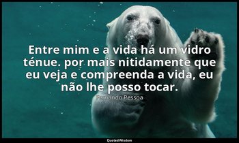 Entre mim e a vida há um vidro ténue. por mais nitidamente que eu veja e compree — Fernando Pessoa