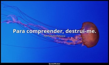 Para compreender, destruí-me. — Fernando Pessoa