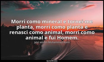 "Morri como mineral e tornei-me planta, morri como planta e renasci como animal, — Jalal ad-Din Muhammad Rumi