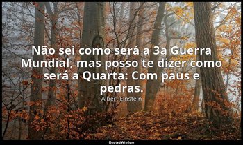 "Não sei como será a 3a Guerra Mundial, mas posso te dizer como será a Quarta: C — Albert Einstein