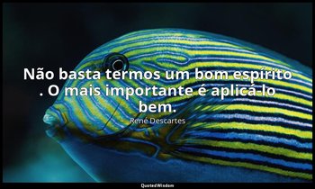 "Não basta termos um bom espírito . O mais importante é aplicá-lo bem." — René Descartes