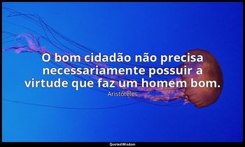 O bom cidadão não precisa necessariamente possuir a virtude que faz um homem bom — Aristóteles