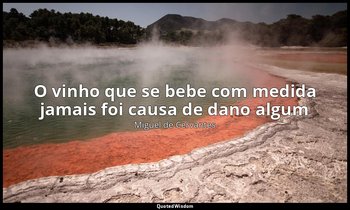 "O vinho que se bebe com medida jamais foi causa de dano algum". — Miguel de Cervantes