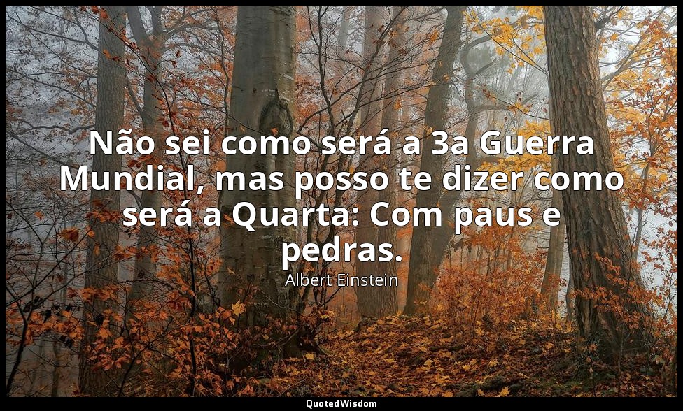 Não sei como será a 3a Guerra Mundial, mas posso te dizer como será a Quarta: Co — Albert Einstein