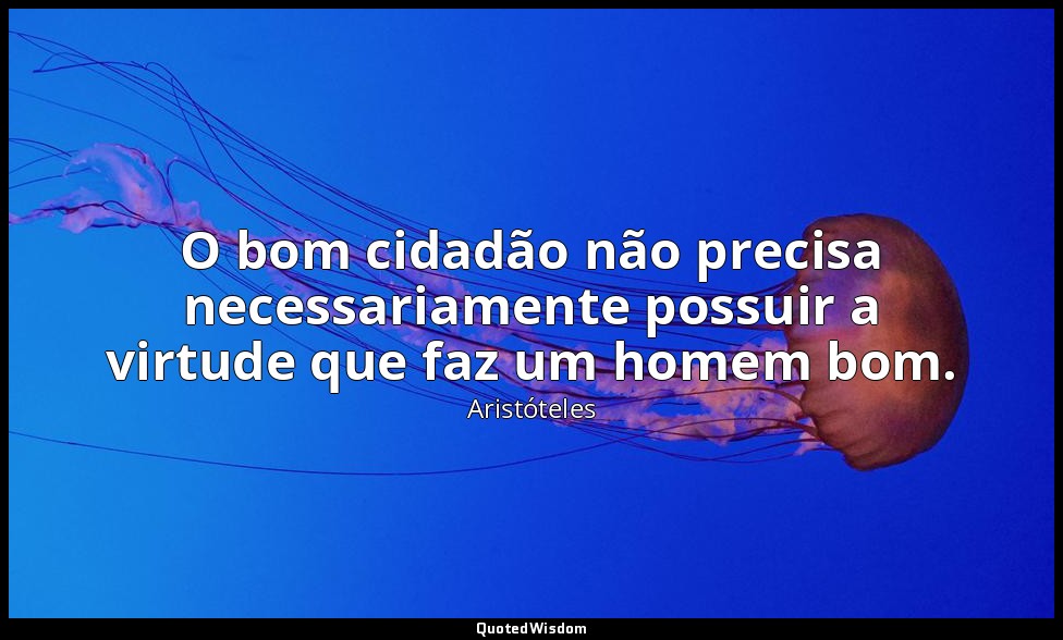 O bom cidadão não precisa necessariamente possuir a virtude que faz um homem bom — Aristóteles