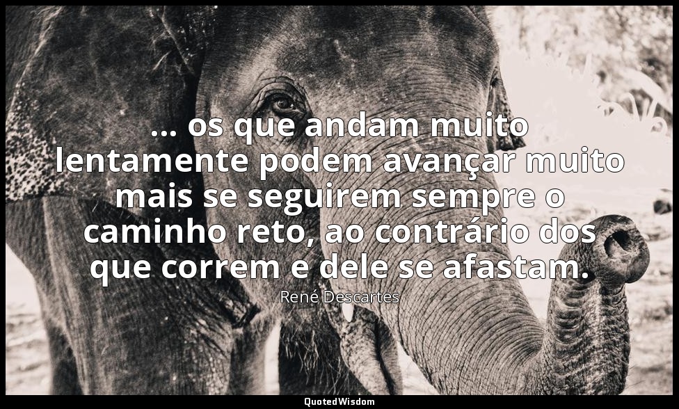 ... os que andam muito lentamente podem avançar muito mais se seguirem sempre o  — René Descartes
