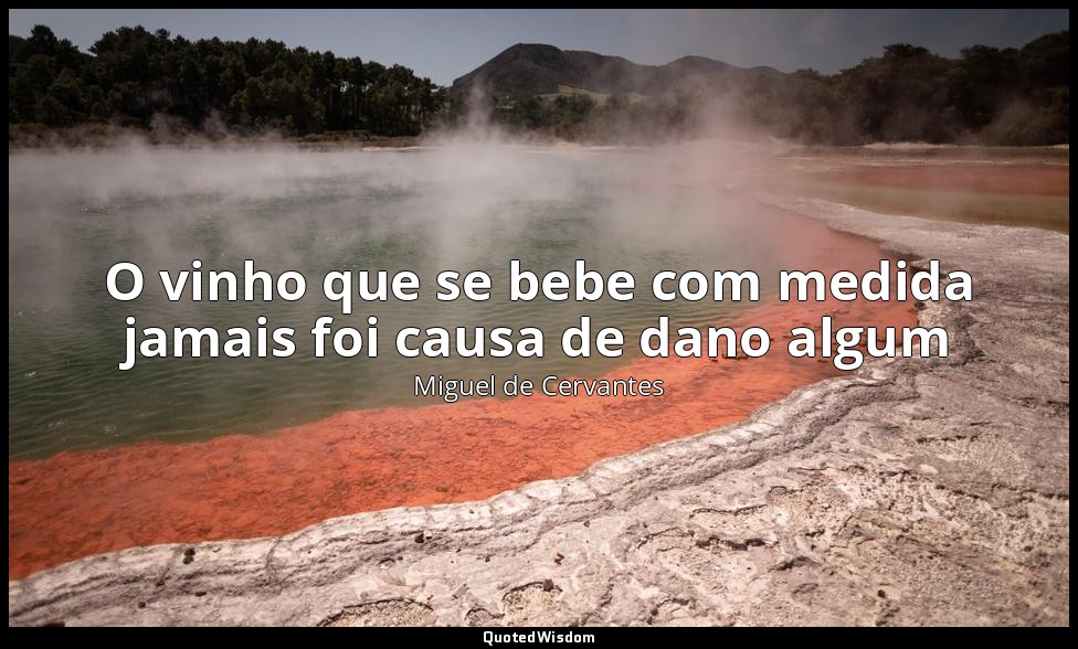 O vinho que se bebe com medida jamais foi causa de dano algum — Miguel de Cervantes