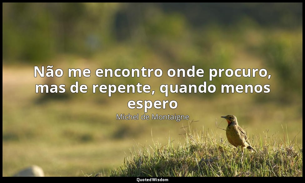 Não me encontro onde procuro, mas de repente, quando menos espero — Michel de Montaigne