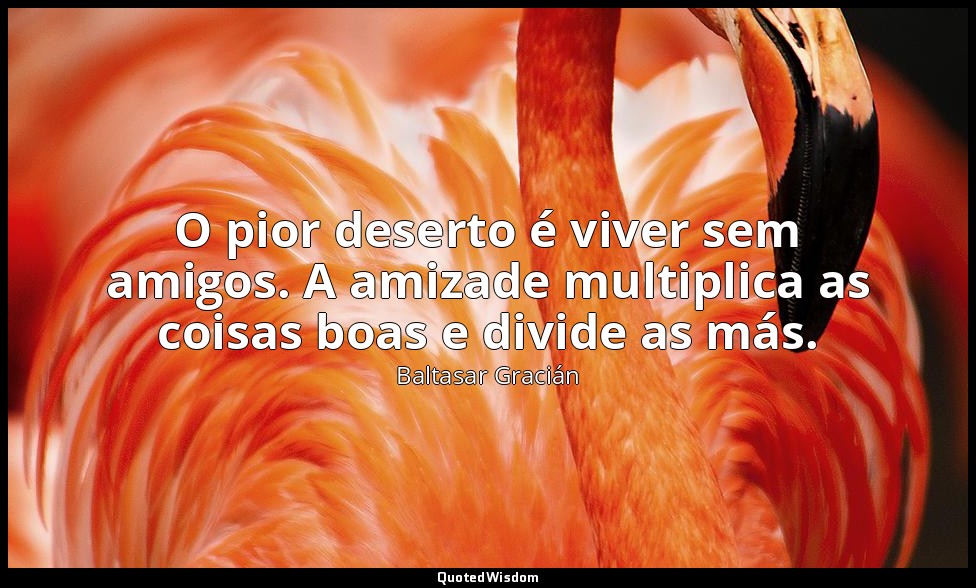 O pior deserto é viver sem amigos. A amizade multiplica as coisas boas e divide  — Baltasar Gracián