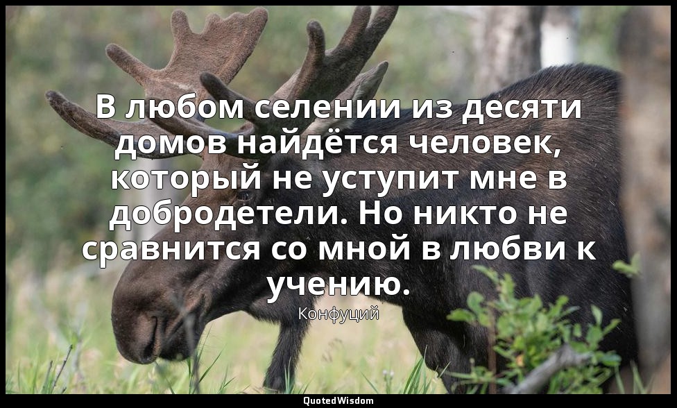 В любом селении из десяти домов найдётся человек, который не уступит мне в добро — Конфуций