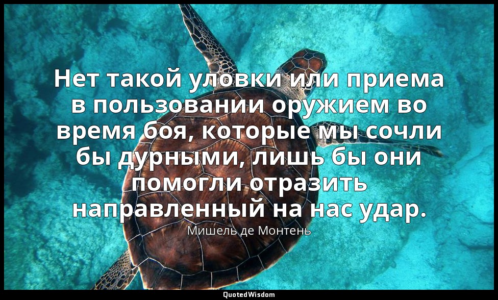Нет такой уловки или приема в пользовании оружием во время боя, которые мы сочли — Мишель де Монтень