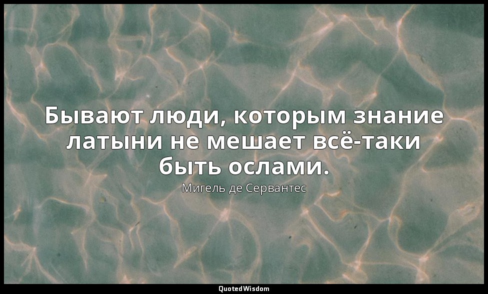 Бывают люди, которым знание латыни не мешает всё-таки быть ослами. — Мигель де Сервантес