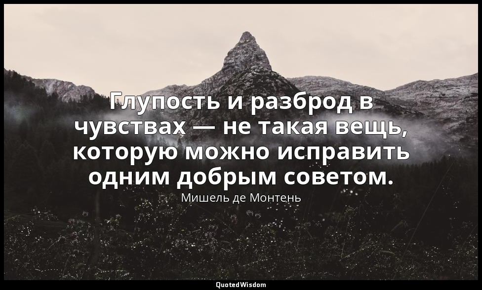 Глупость и разброд в чувствах — не такая вещь, которую можно исправить одним доб — Мишель де Монтень