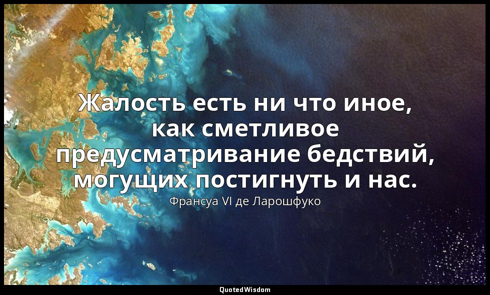 Жалость есть ни что иное, как сметливое предусматривание бедствий, могущих пости — Франсуа VI де Ларошфуко