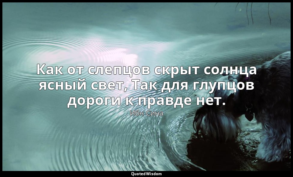 Как от слепцов скрыт солнца ясный свет, Так для глупцов дороги к правде нет. — Ибн Сина
