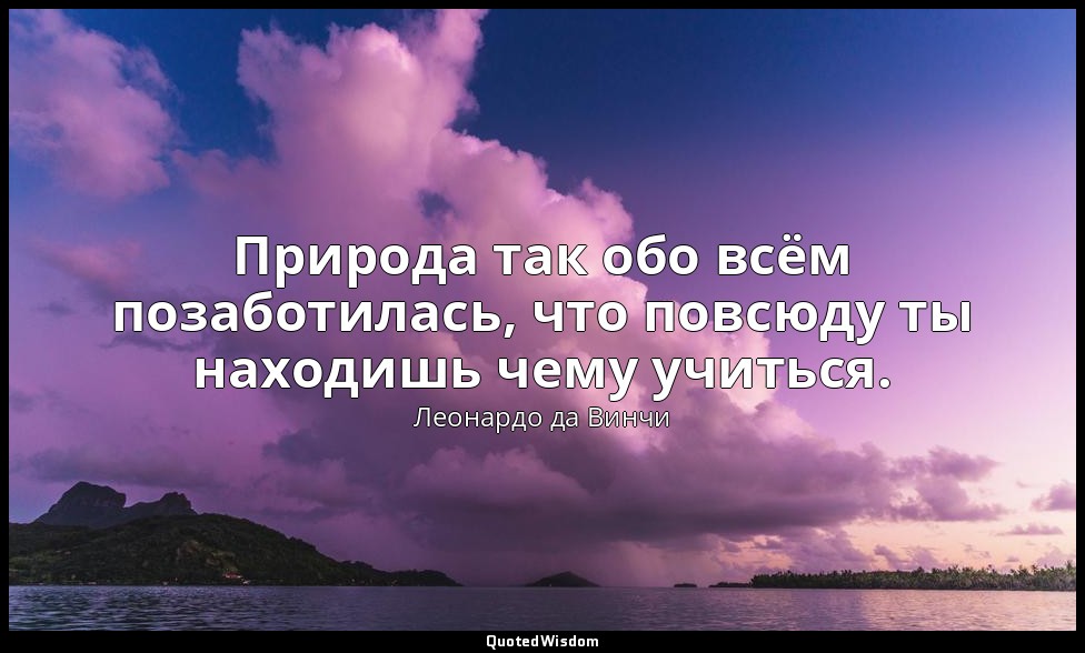Природа так обо всём позаботилась, что повсюду ты находишь чему учиться. — Леонардо да Винчи