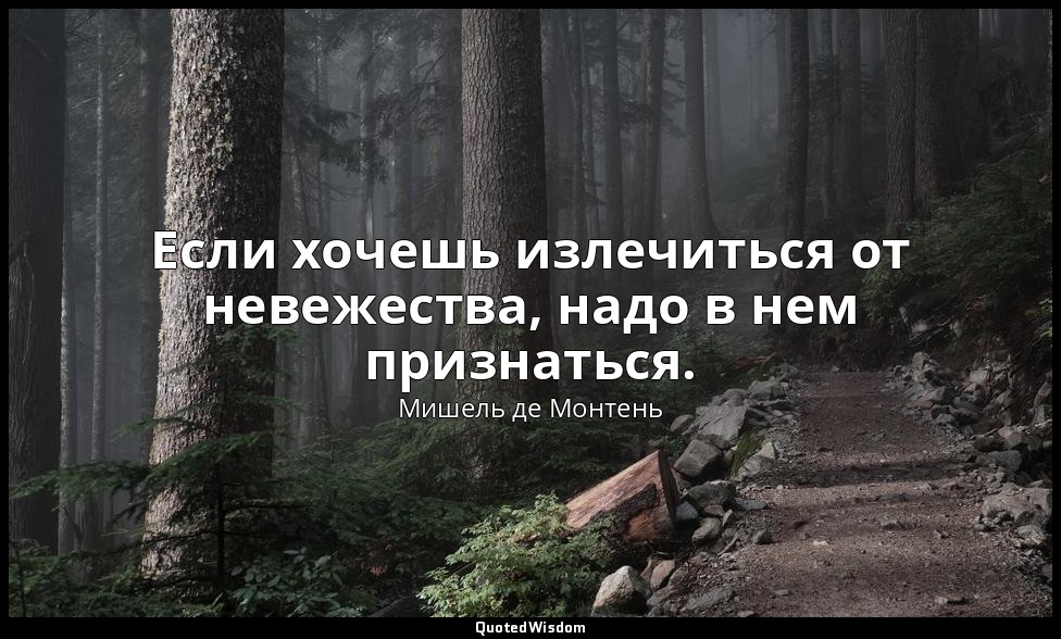 Если хочешь излечиться от невежества, надо в нем признаться. — Мишель де Монтень