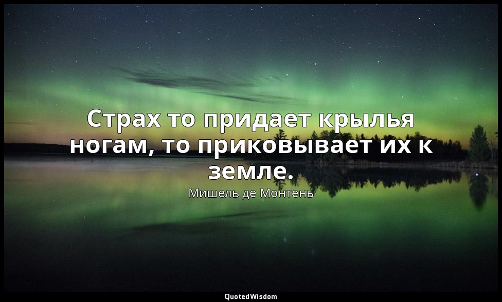 Страх то придает крылья ногам, то приковывает их к земле. — Мишель де Монтень