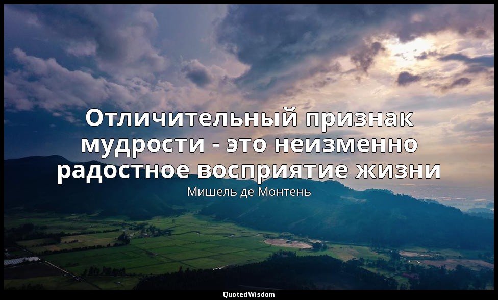 Отличительный признак мудрости - это неизменно радостное восприятие жизни — Мишель де Монтень