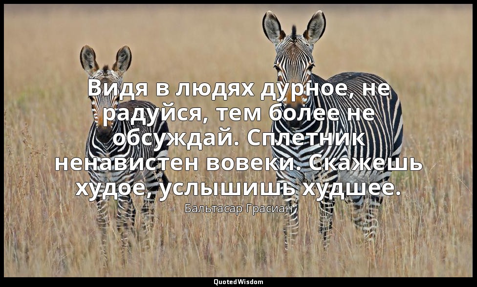 Видя в людях дурное, не радуйся, тем более не обсуждай. Сплетник ненавистен вове — Бальтасар Грасиан