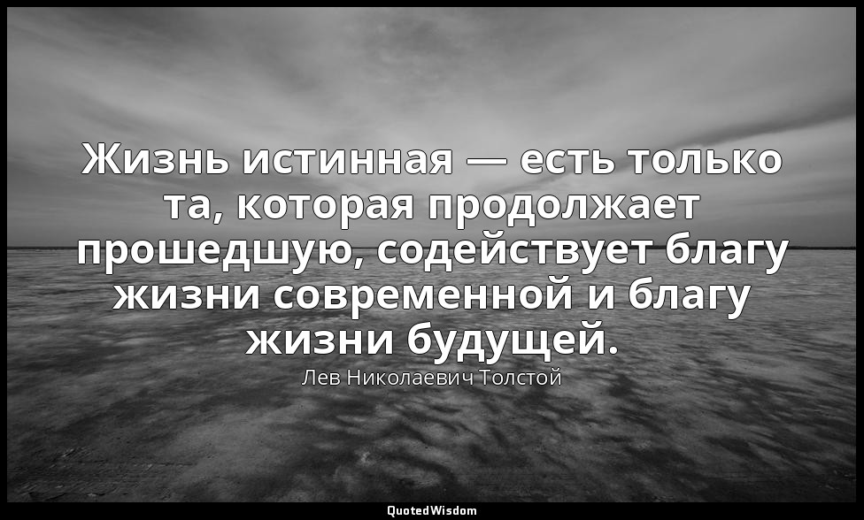 Жизнь истинная — есть только та, которая продолжает прошедшую, содействует благу — Лев Николаевич Толстой