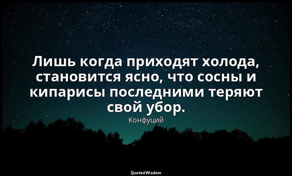 Лишь когда приходят холода, становится ясно, что сосны и кипарисы последними тер — Конфуций