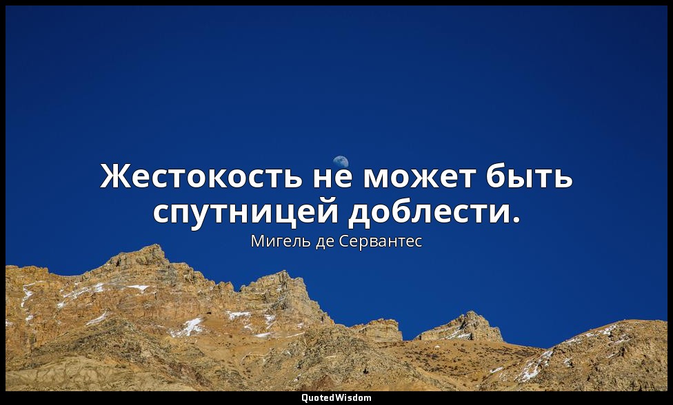 Жестокость не может быть спутницей доблести. — Мигель де Сервантес