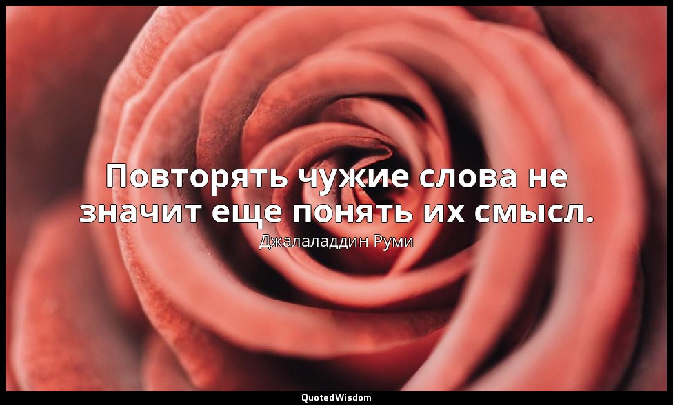 Повторять чужие слова не значит еще понять их смысл. — Джалаладдин Руми
