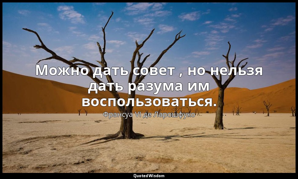 Можно дать совет , но нельзя дать разума им воспользоваться. — Франсуа VI де Ларошфуко