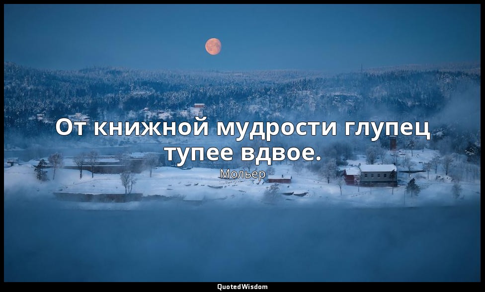 От книжной мудрости глупец тупее вдвое. — Мольер