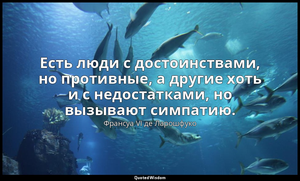 Есть люди с достоинствами, но противные, а другие хоть и с недостатками, но вызы — Франсуа VI де Ларошфуко