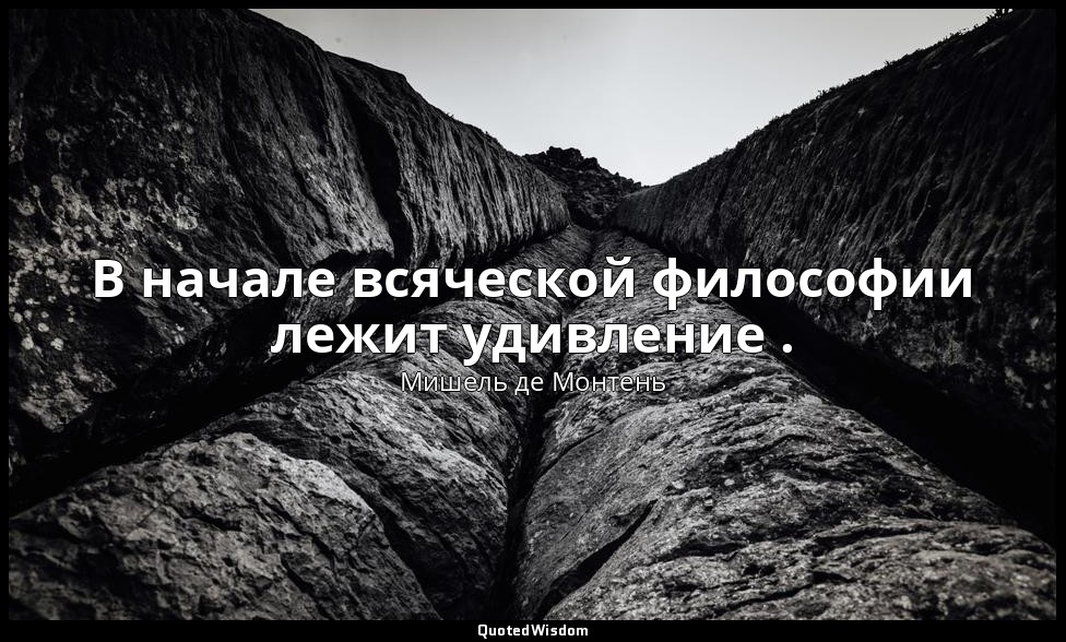 В начале всяческой философии лежит удивление . — Мишель де Монтень