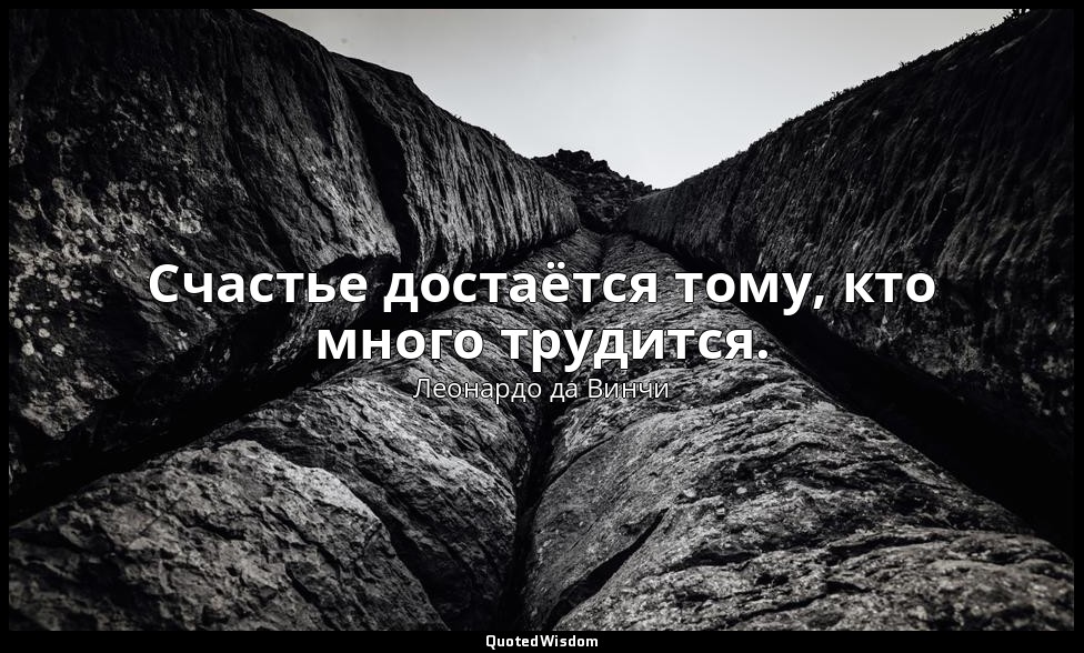 Счастье достаётся тому, кто много трудится. — Леонардо да Винчи