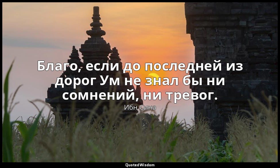 Благо, если до последней из дорог Ум не знал бы ни сомнений, ни тревог. — Ибн Сина