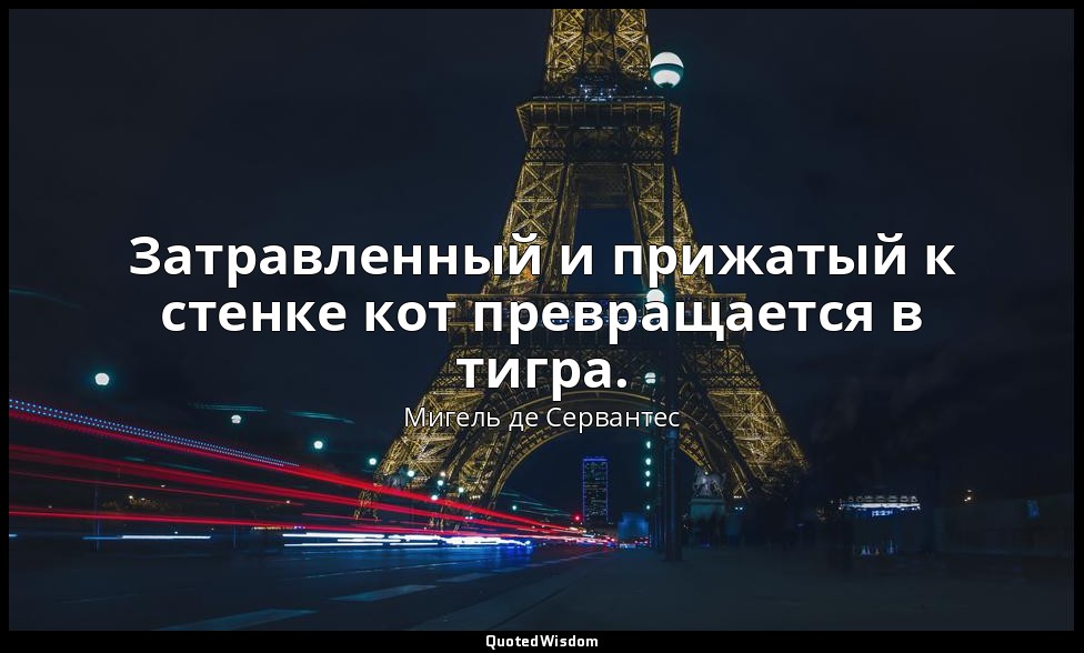 Затравленный и прижатый к стенке кот превращается в тигра. — Мигель де Сервантес
