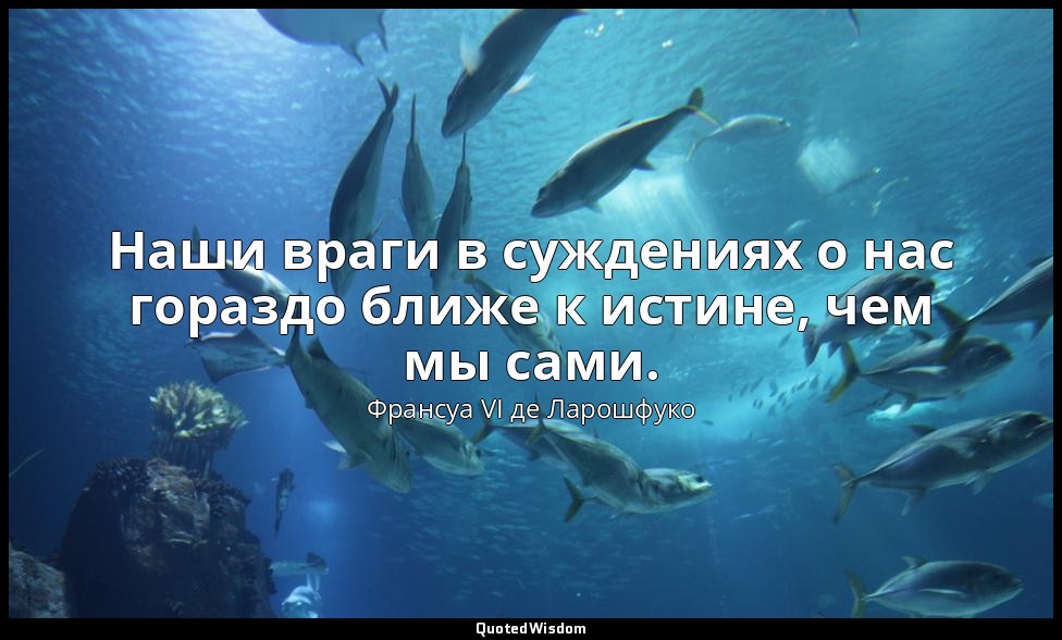 Наши враги в суждениях о нас гораздо ближе к истине, чем мы сами. — Франсуа VI де Ларошфуко
