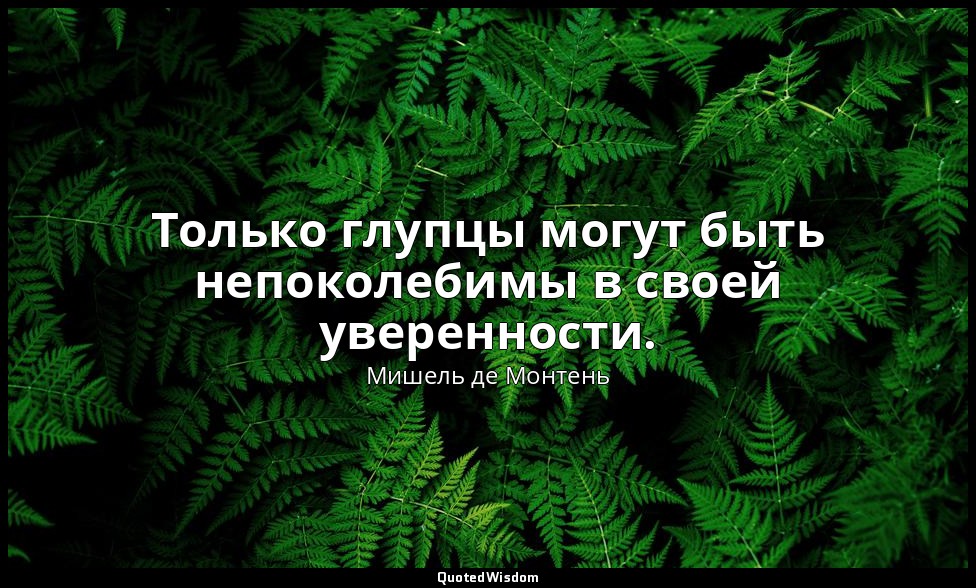 Только глупцы могут быть непоколебимы в своей уверенности. — Мишель де Монтень