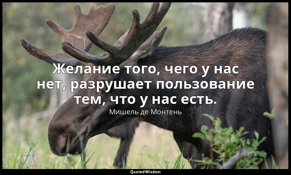 Желание того, чего у нас нет, разрушает пользование тем, что у нас есть. — Мишель де Монтень