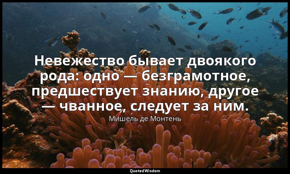 Невежество бывает двоякого рода: одно — безграмотное, предшествует знанию, друго — Мишель де Монтень